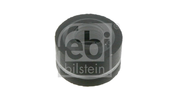 Seal Ring, valve stem